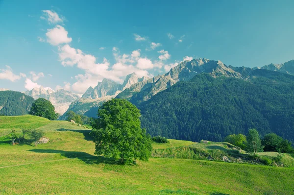 Przepiękny krajobraz alpejski — Zdjęcie stockowe