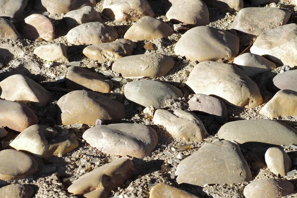 Escena de rocas en el suelo — Foto de Stock