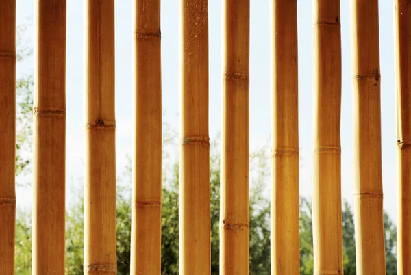 Hintergrund Textur aus Bambus — Stockfoto