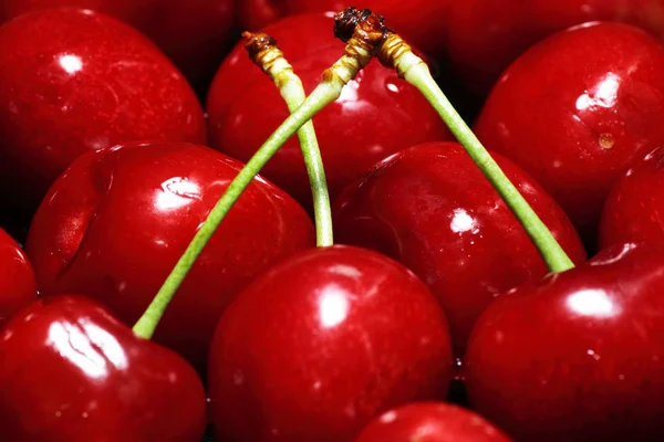 Cherry urval — Stockfoto