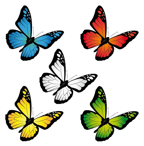 Papillons — Image vectorielle