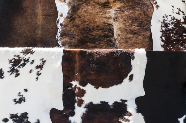 Krowa blisko ukrywa się — Zdjęcie stockowe