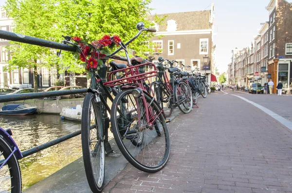 Bicicletas en Amsterdam —  Fotos de Stock