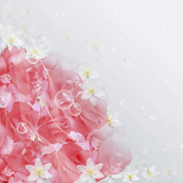 Roze rozen en bubbels. — Stockfoto