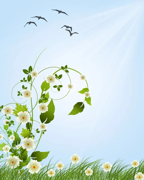 Daisies in grass against a blue sky. — Stock Vector