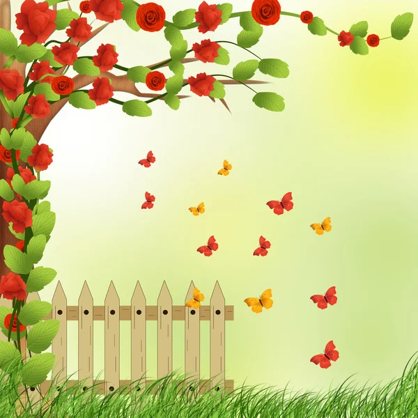 Garden with butterfly and roses. — Stock Vector