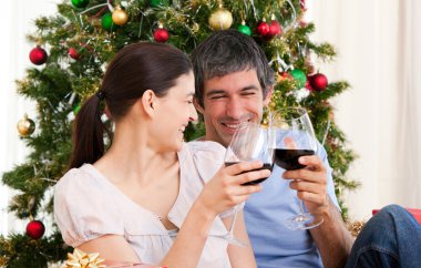 Wife and husband drinking wine at homa at Christmas time clipart