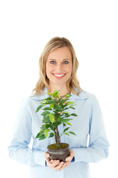 Mujer bonita sosteniendo una planta en sus manos — Foto de Stock