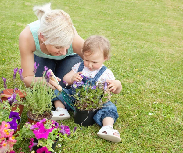 Mother showing her daughter a purple flower — Stock Photo, Image