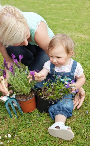 Beautiful mother showing her daughter a purple flower — Stock Photo, Image