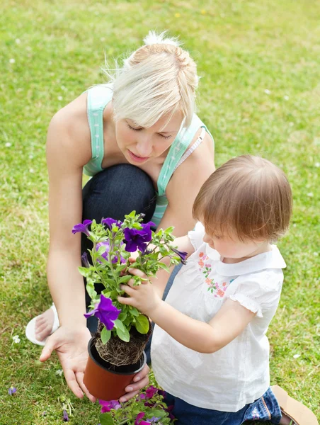 Καυκάσιος μητέρα που δείχνει την κόρη της ένα μωβ λουλούδι — Φωτογραφία Αρχείου