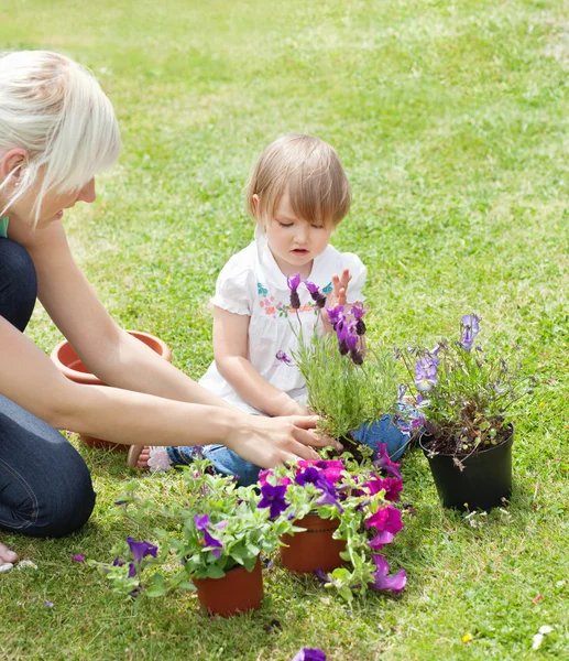Улыбающаяся мать показывает своей дочери фиолетовый цветок — стоковое фото