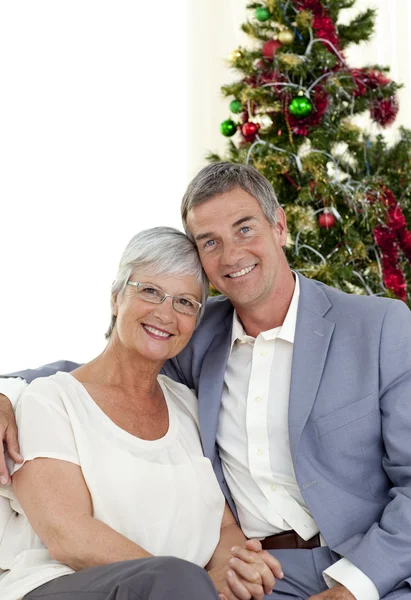 Porträtt av äldre par firar jul — Stockfoto