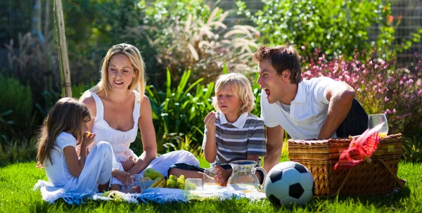 Jonge gezin plezier in een picknick — Stockfoto