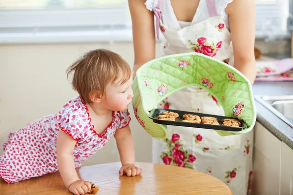 Menina pequena olhando para biscoito na cozinha — Fotografia de Stock
