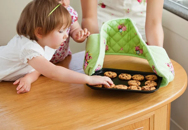 Süßes Mädchen nimmt einen Keks in der Küche — Stockfoto