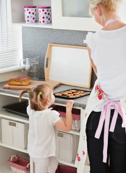 Small girl taking a cookie in kitchen — Stock Photo, Image