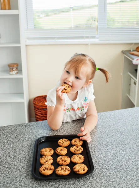 Leuk meisje eten cookie — Stockfoto