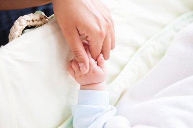 Close-up of a young mother holding her baby's hand clipart