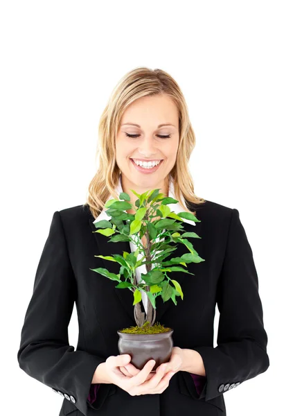 Portréja egy karizmatikus üzletasszony tartja a növény — Stock Fotó