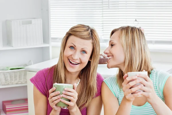 Positive female friends holding a cup of coffee at home — Stock Photo, Image