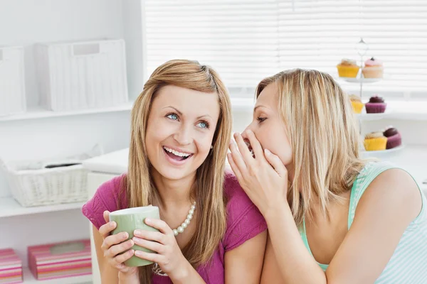 Fechar amigos do sexo feminino conversando junto com uma xícara de café em ho — Fotografia de Stock