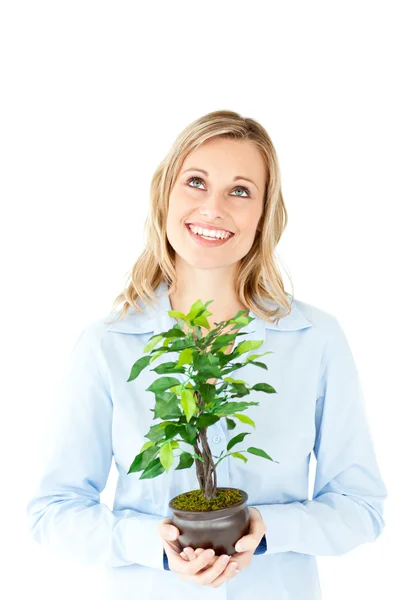 Holding bir bitki çok mutlu bir iş kadını portresi — Stok fotoğraf