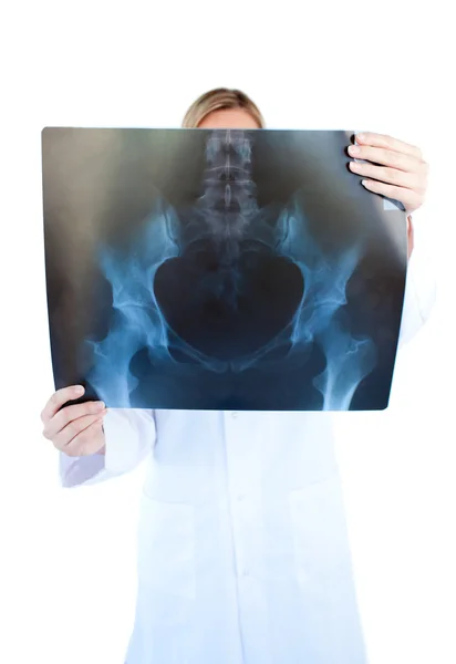 Koncentrovaná ženského lékaře drží ing x-ray — Stock fotografie