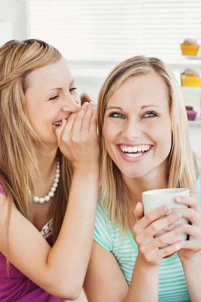 Alegres amigos caucasianos bebendo café na cozinha — Fotografia de Stock
