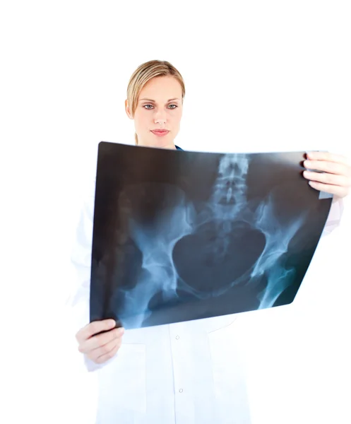 Концентрированная женщина-врач смотрит на рентген — стоковое фото