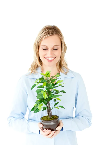 Retrato de una mujer de negocios carismática sosteniendo una planta —  Fotos de Stock