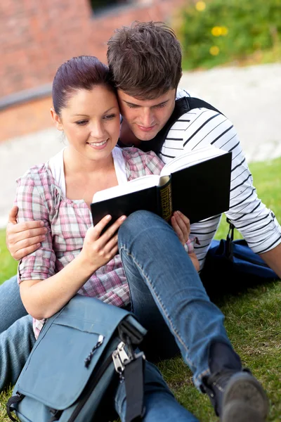 Poważne para studentów, czytanie książki, siedząc na trawie — Zdjęcie stockowe