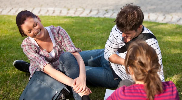 Rire couple d'étudiants assis sur l'herbe parler avec une femelle — Photo