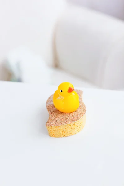 Stock image Close-up of a yellow plastic duck on a sponge in the living-room