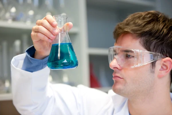 Молодой ученый смотрит на жидкость в эрленмейере — стоковое фото