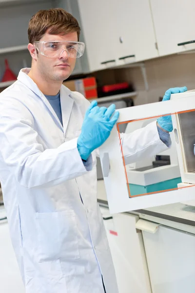 Assertive young scientist doing an experiment — Stock Photo, Image