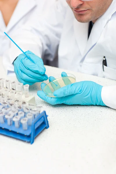 Caucasian male scientist holding samples — Stock Photo, Image