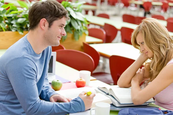Portrait of two serious students working together in the cafeter — Stock Photo, Image