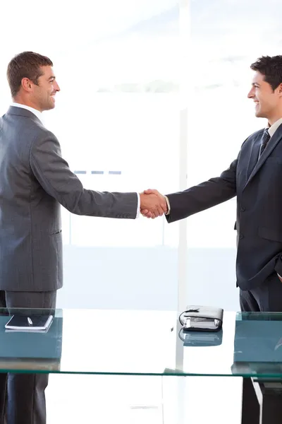Hombres de negocios alegres cerrando un trato estrechando sus manos — Foto de Stock