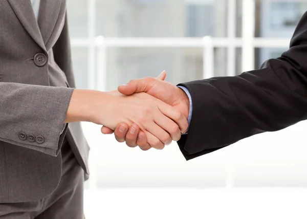 Close up of two businesspeople shaking their hands — Stock Photo, Image