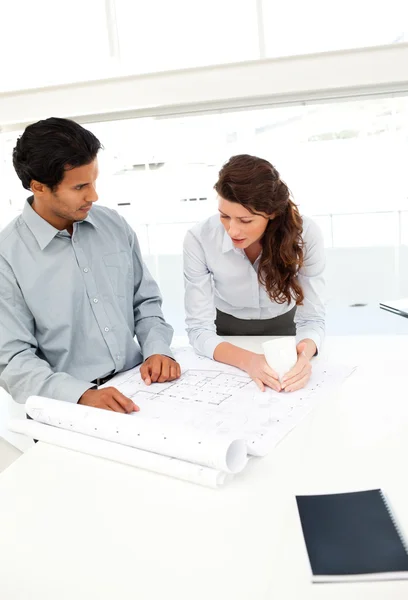 Two attractive architects looking at plans — Stock Photo, Image