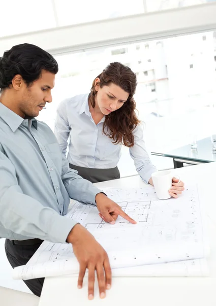 Serious architects looking at plans standing at a table — Stock Photo, Image