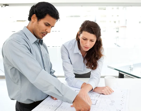 Two serious architects looking at blueprints on a table — Stock Photo, Image