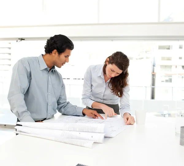 Two business looking at a new project — Stock Photo, Image