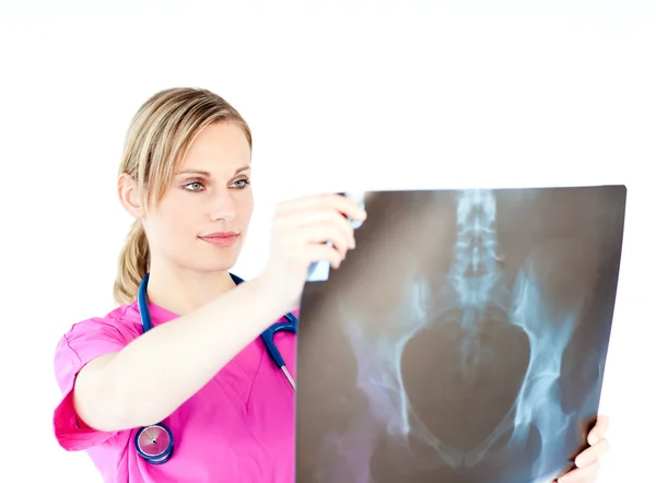 Serious female surgeon holding a x-ray Royalty Free Stock Images