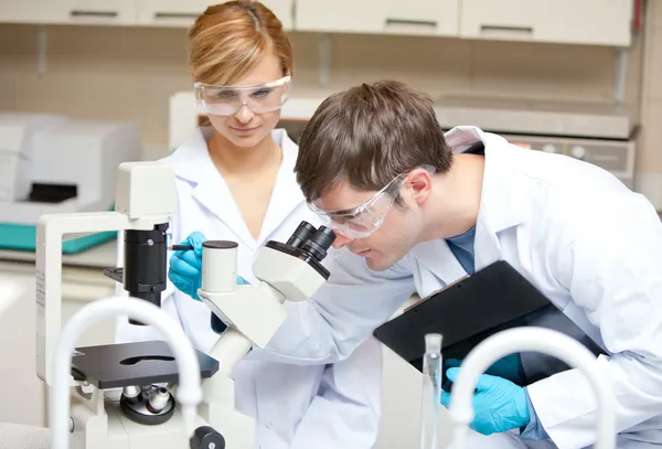 Two scientists observing something with a microscope Stock Picture