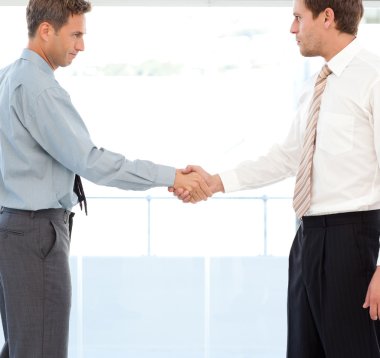 Two partners concluding a deal by shaking hands clipart