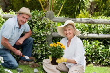 Mature couple working in the garden clipart