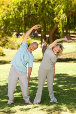 Mature couple doing their streches in the park clipart