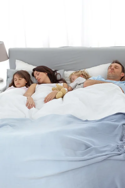 Família pacífica dormindo juntos — Fotografia de Stock